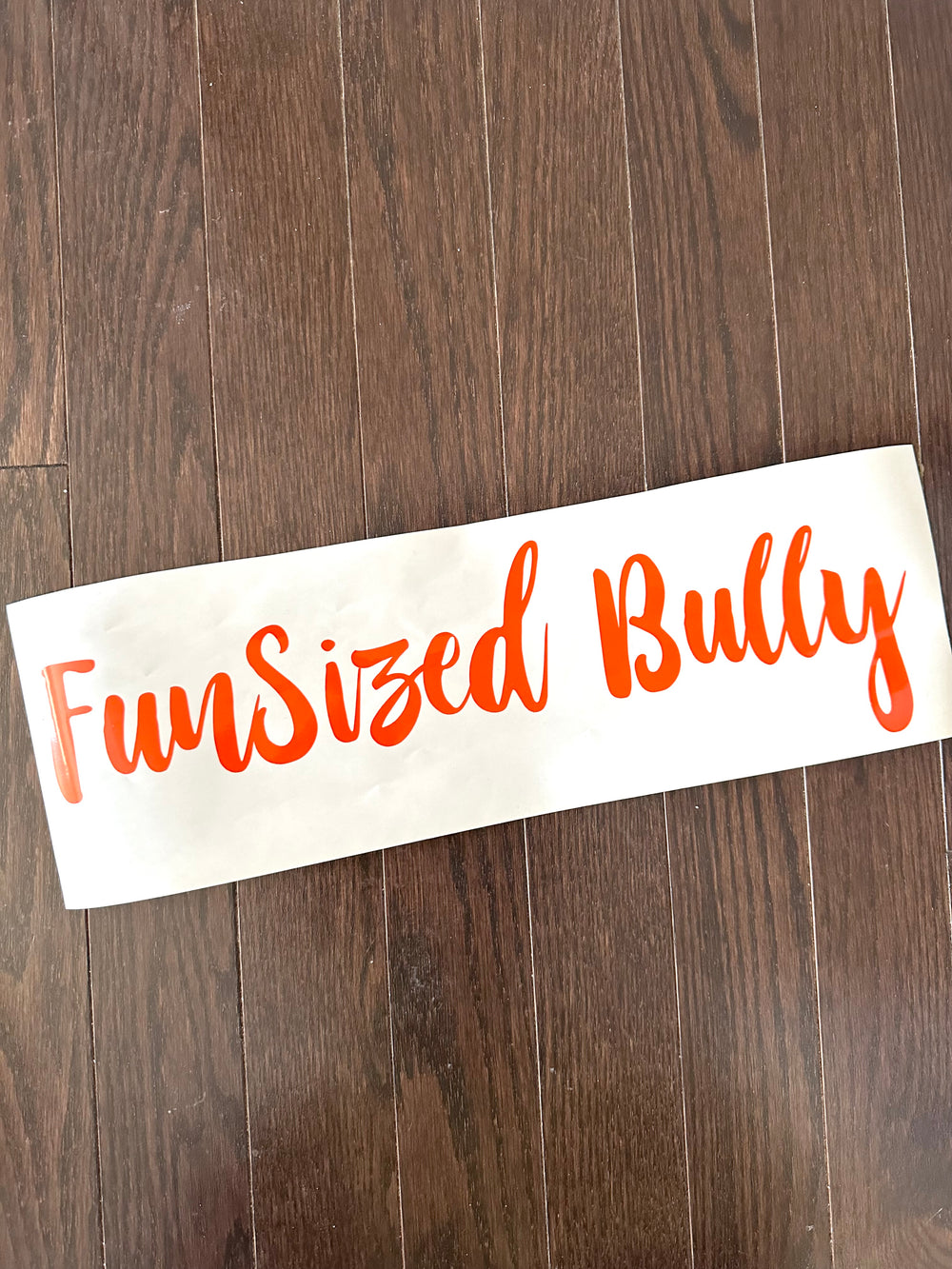 Orange FunSized Bully script lettering on backing