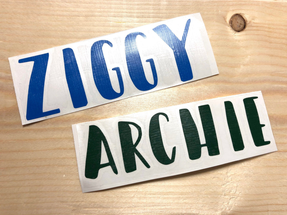 Blue Ziggy and green Archie name decals